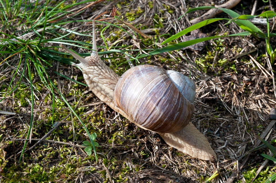 _DSC9037.jpg