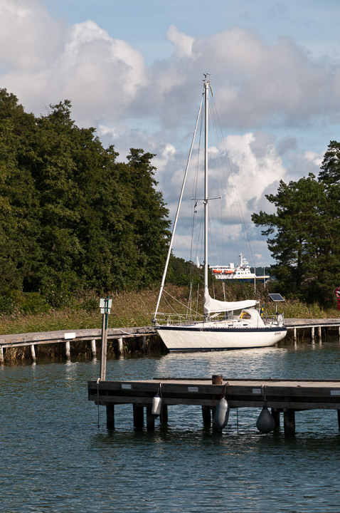 _DSC9051.jpg