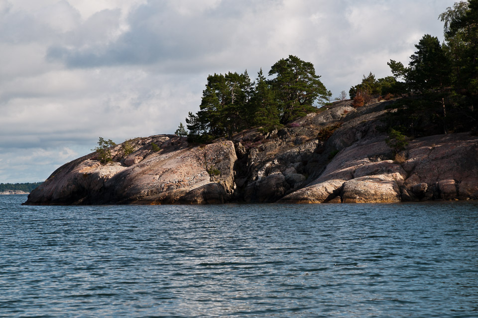 _DSC9061.jpg