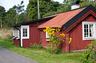 _DSC9010.jpg