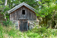 _DSC9015.jpg