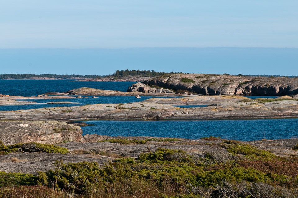 _DSC9582.jpg