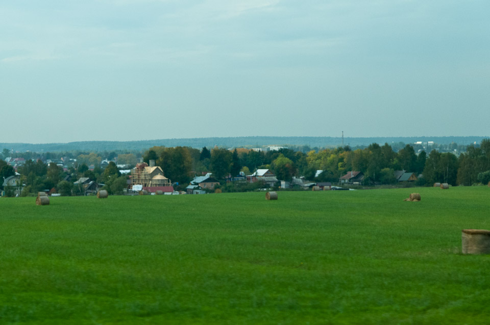 _DSC0831.jpg