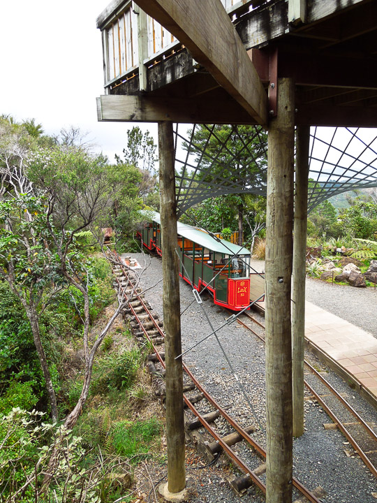 DSCN0190.jpg