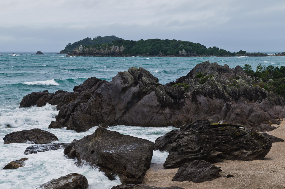 _DSC6546.jpg
