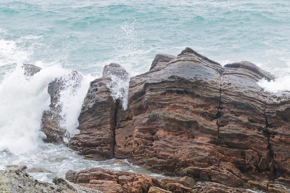 _DSC6558.jpg