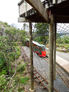 Coromandel Peninsula