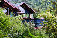 Coromandel Peninsula