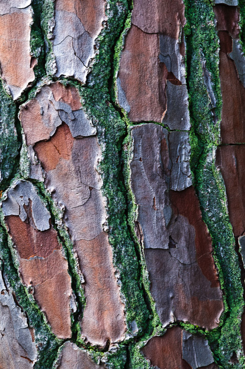 _DSC6766.jpg