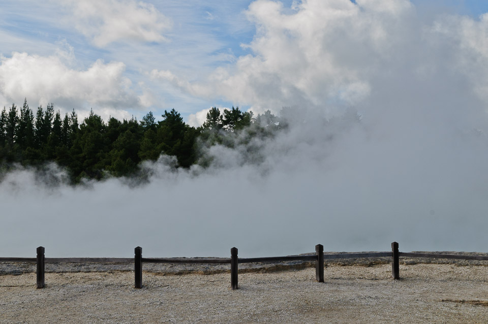 _DSC6792.jpg