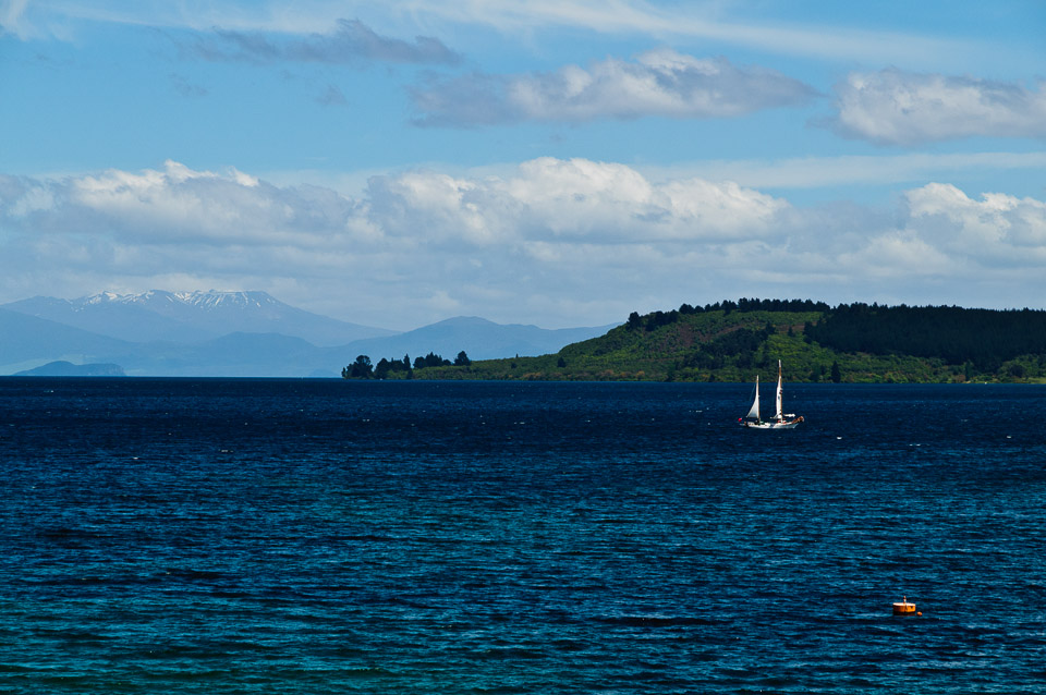 _DSC6851.jpg