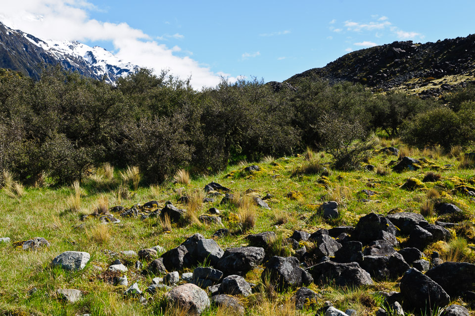 _DSC7569.jpg