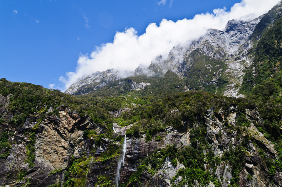 _DSC7763.jpg