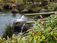 Kamakura, Japan