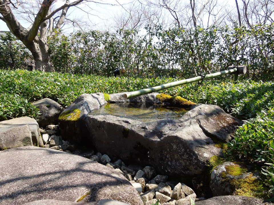 DSCN1075.jpg