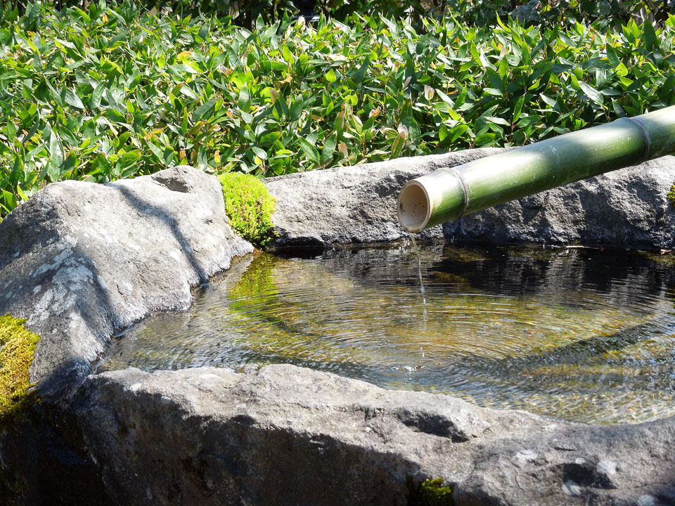 DSCN1076.jpg