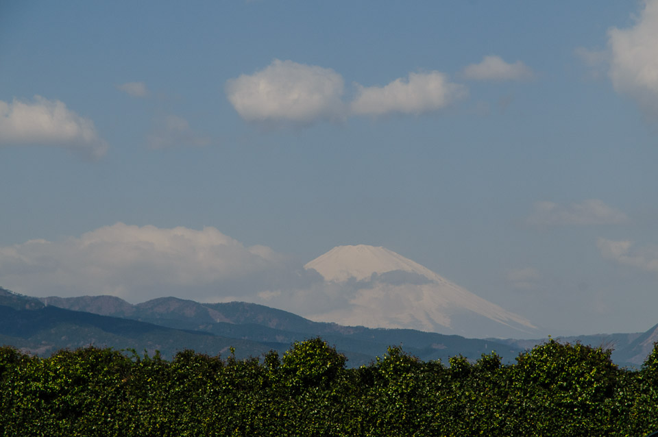 _DSC1487.jpg