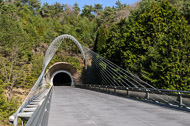 Miho Museum