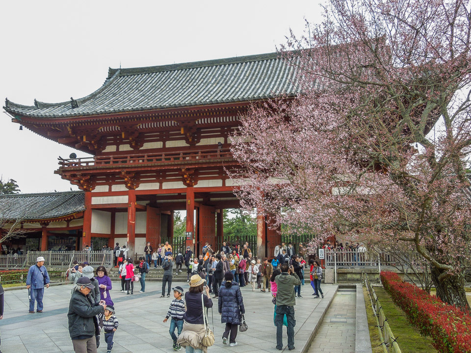 DSCN1366.jpg