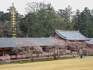 DSCN1363.jpg