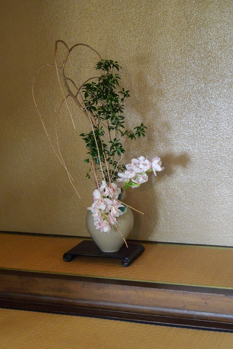 DSCN1546.jpg