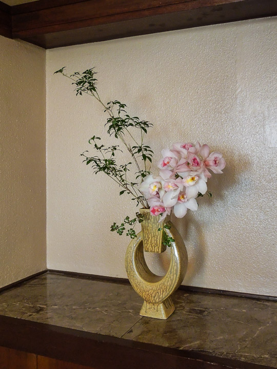 DSCN1550.jpg