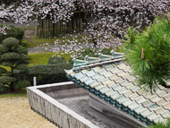 DSCN1484.jpg
