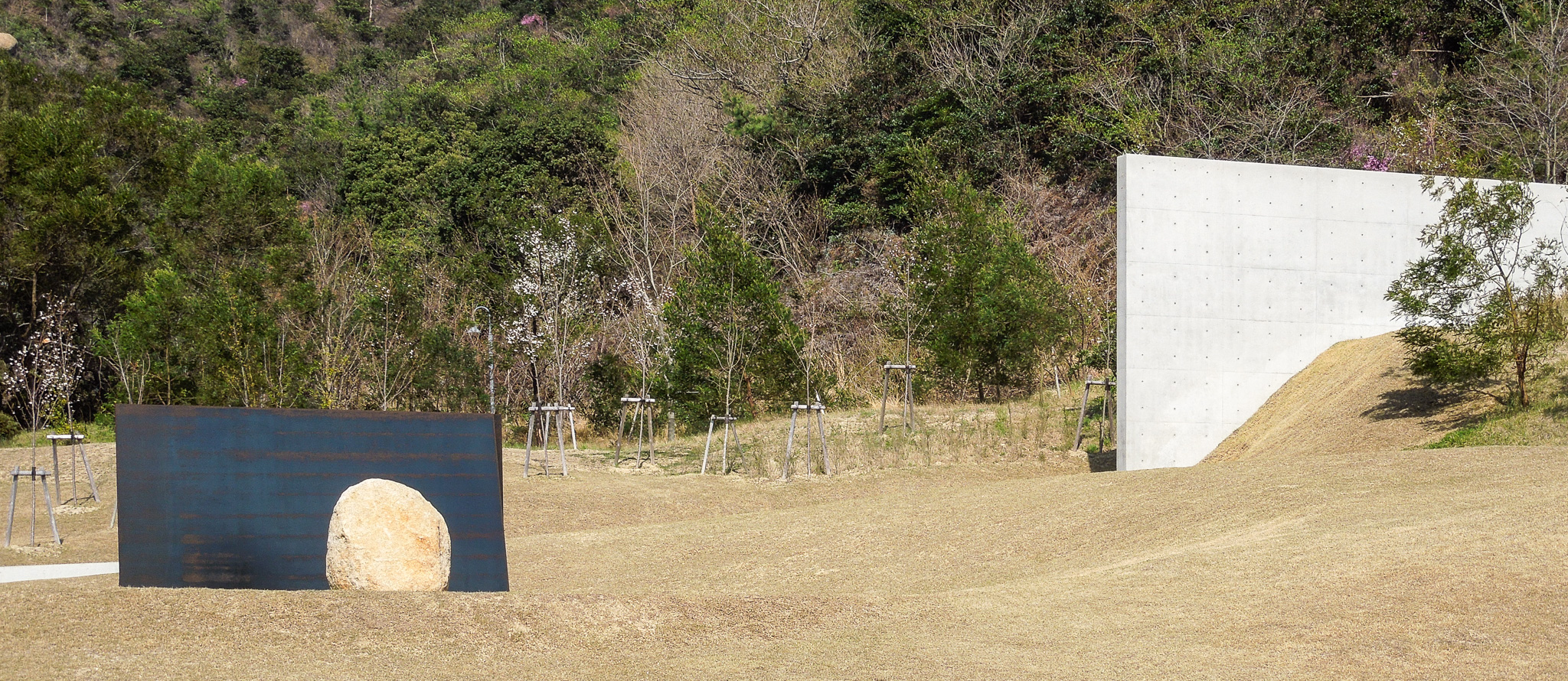 DSCN1897.jpg