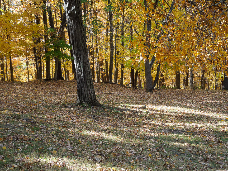 DSCN2768.jpg