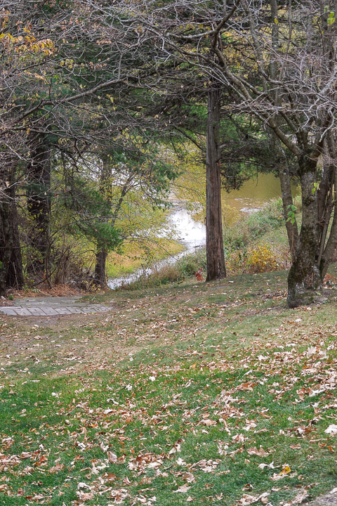 DSCN2797.jpg