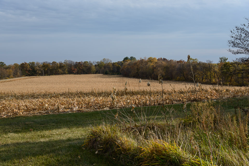 _DSC1565.jpg