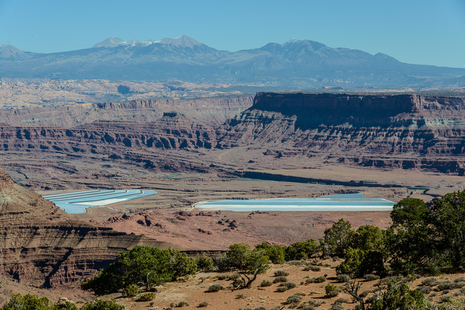 _DSC2122.jpg