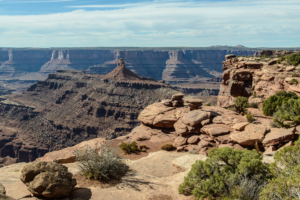 _DSC2158.jpg