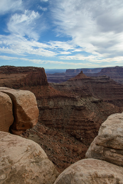 _DSC2231.jpg