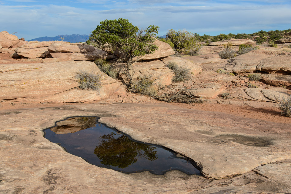 _DSC2248.jpg