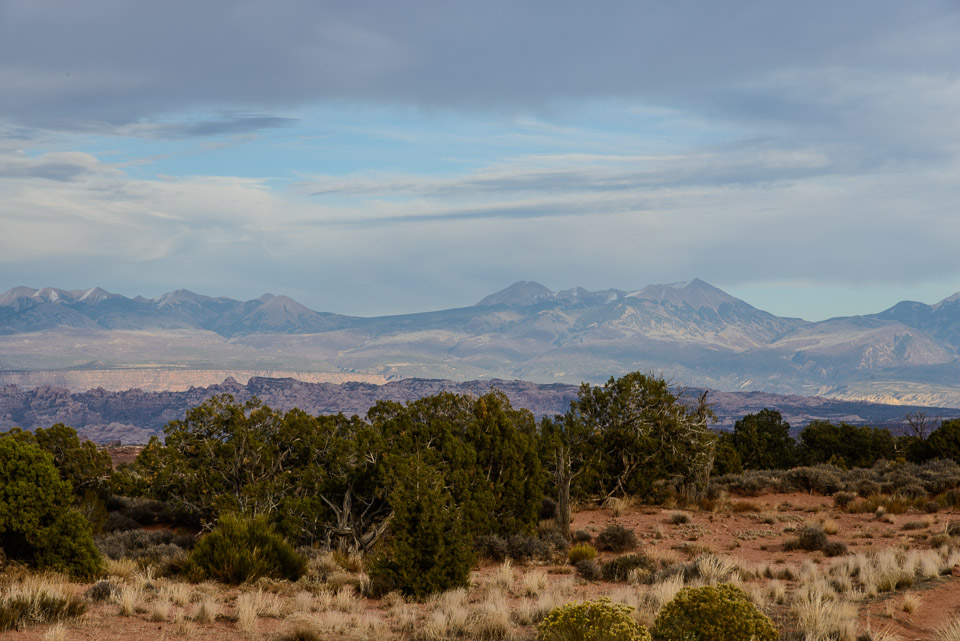 _DSC2256.jpg