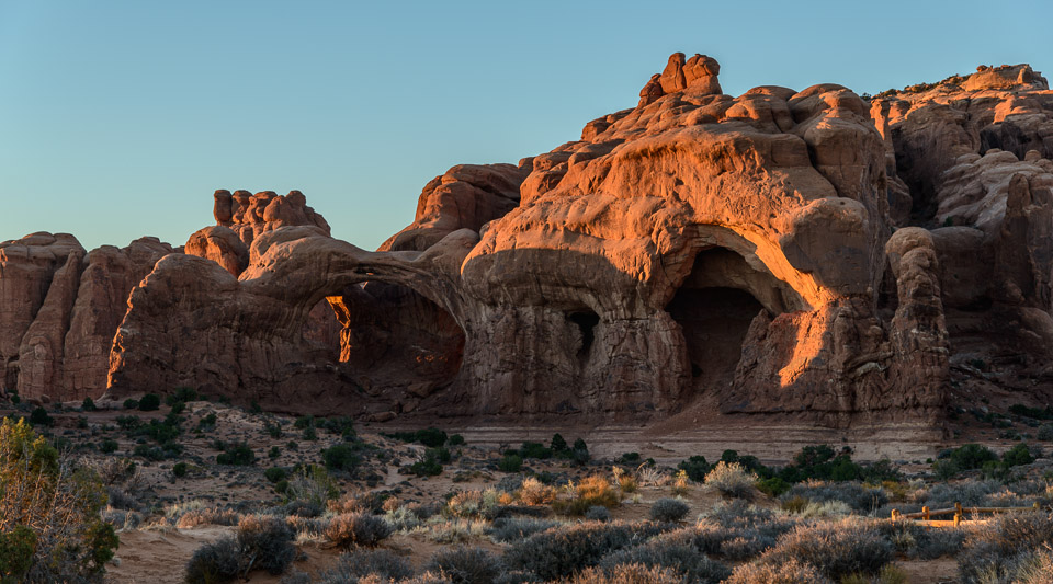 _DSC2395.jpg