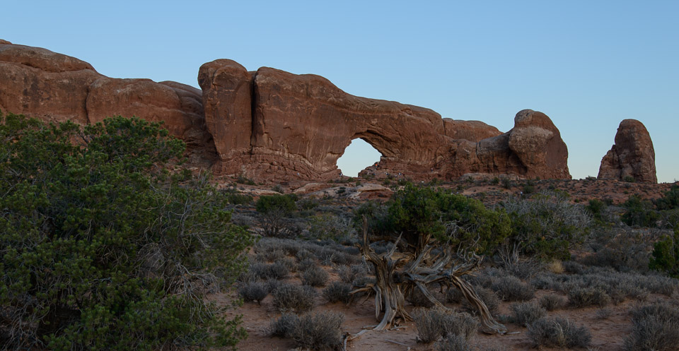 _DSC2400.jpg