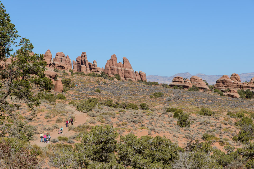 _DSC2445.jpg