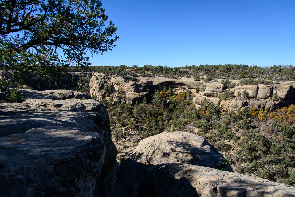 _DSC2565.jpg