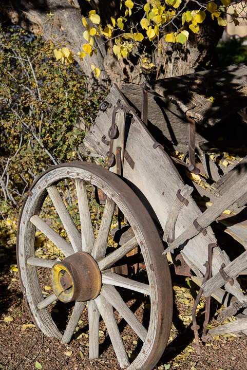 _DSC3054.jpg