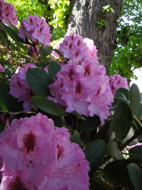 DSCN3902.jpg