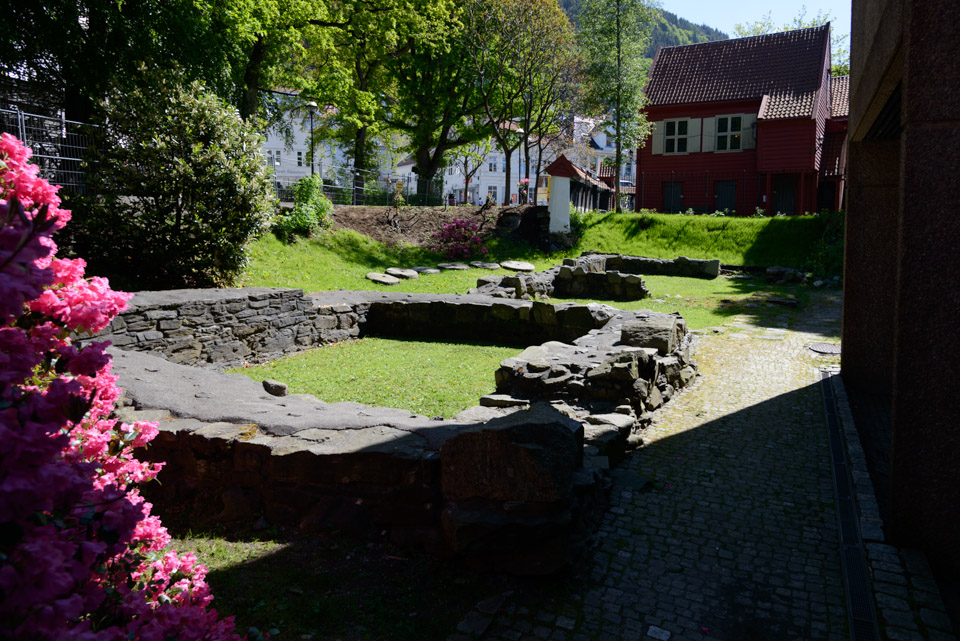 _DSC6356.jpg