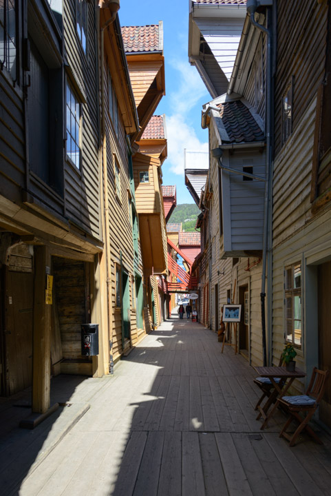 _DSC6456.jpg