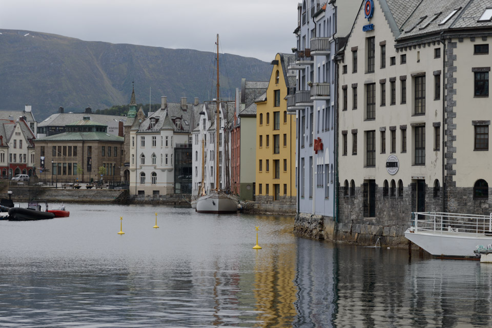 _DSC6563.jpg