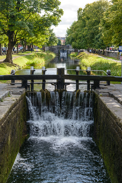 _DSC7757.jpg
