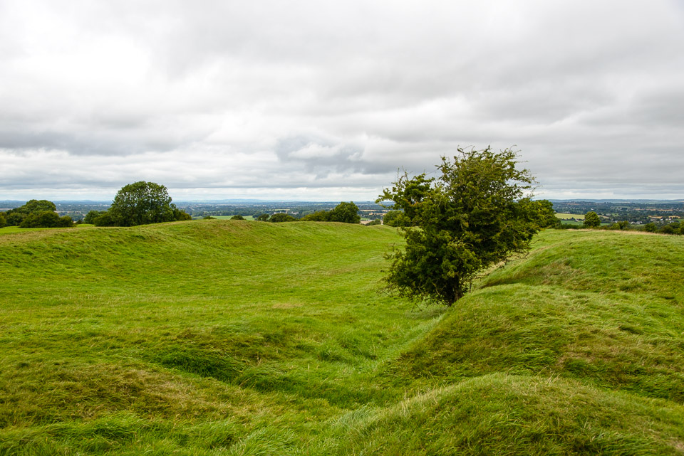 _DSC7863.jpg