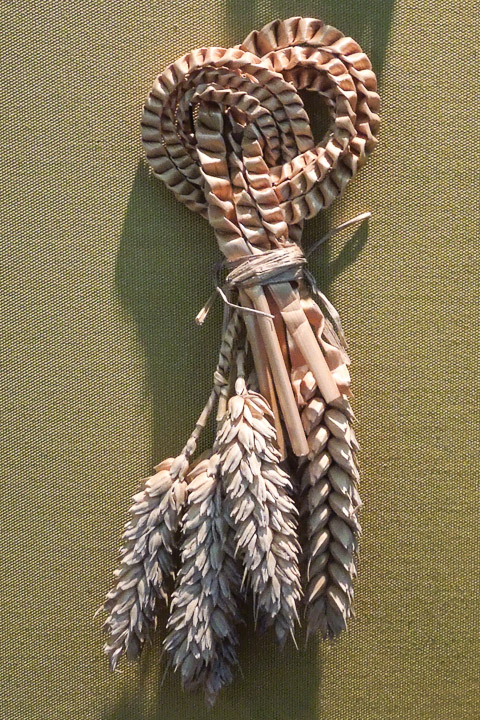 DSCN4575.jpg
