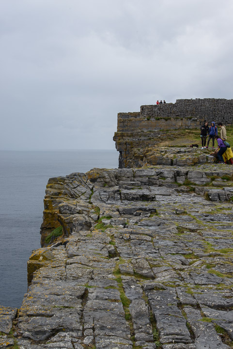 _DSC9380.jpg