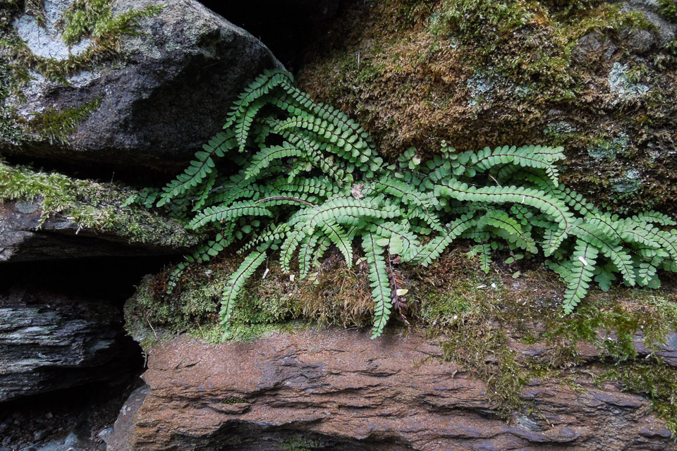 DSCN4908.jpg